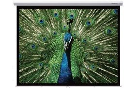 Grandview Deluxe Manual Pull-Down Projection Screen - Image 2