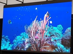 LED Video Wall - Image 3