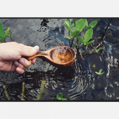 Sharp 55" Commercial Display