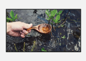 Sharp 55" Commercial Display - Image 6