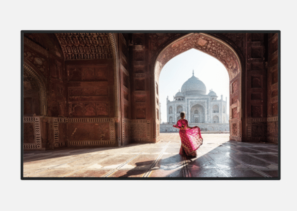 Sharp 65" Commercial Display